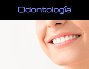 2.1.24. Odontologia