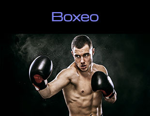 2.2.10 Boxeo