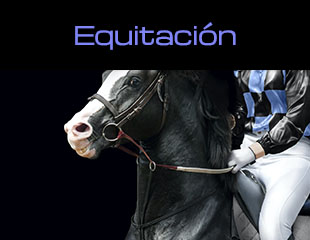 2.2.9. Equitación